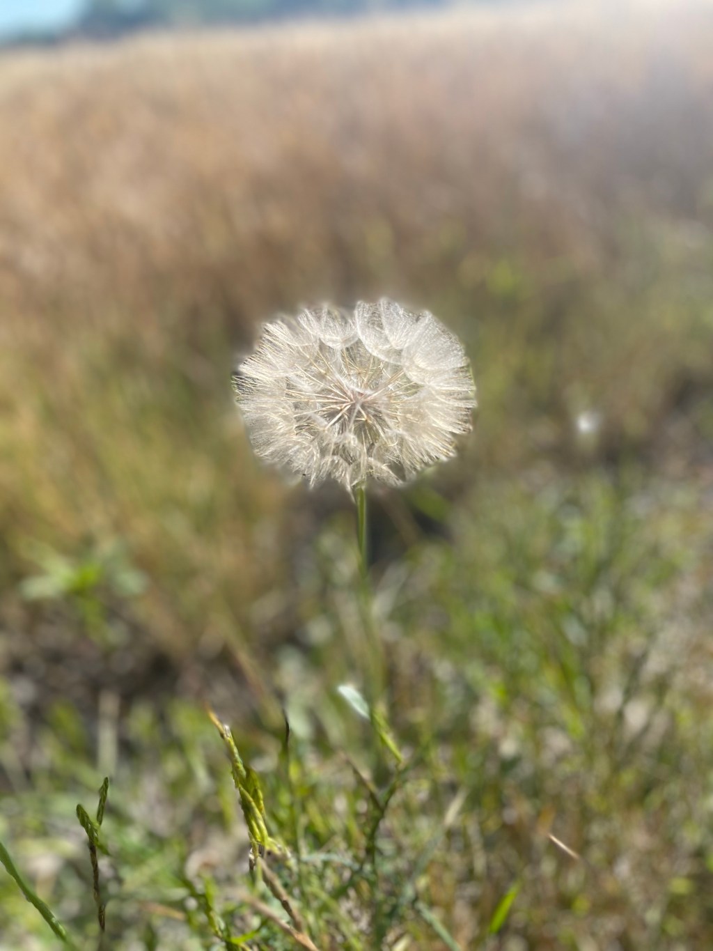 If tomorrow never comes..