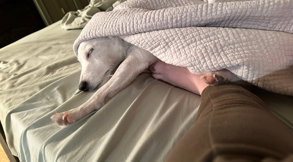 Embracing Our ‘Wintering’